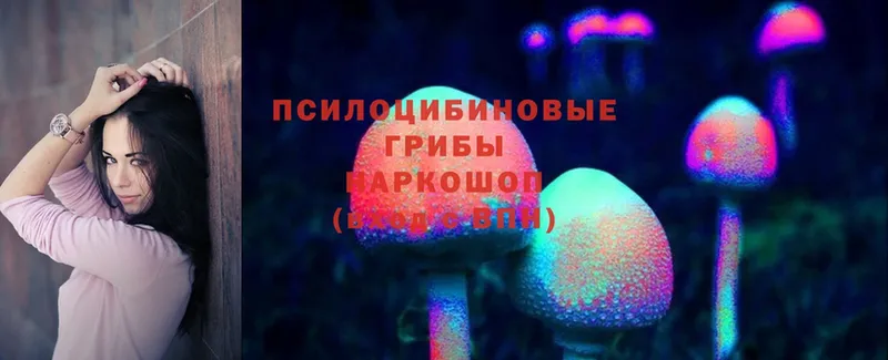 гидра сайт  Кыштым  Галлюциногенные грибы Psilocybe 